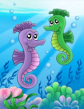 Pair of sea horses - color illustration.