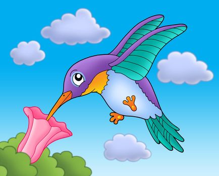 Humming bird with pink flower - color illustration.