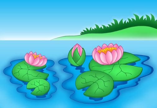 Pink water lilies 2 - color illustration.