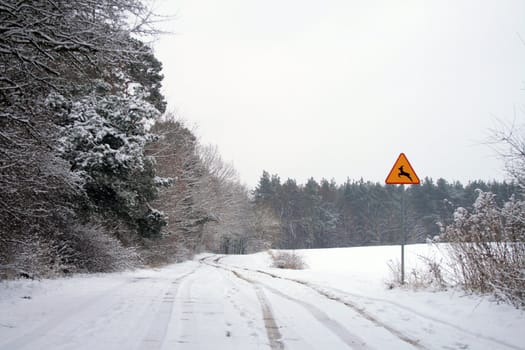 Woods during the wintertime with the road sign