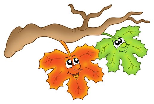 Pair of autumn leaves on branch - color illustration.