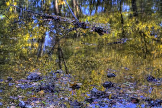 Autumn leaves reflecting in the waters of a flowing river