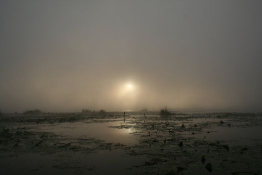 Morning at the Lake