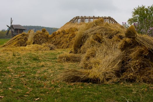 Haystack