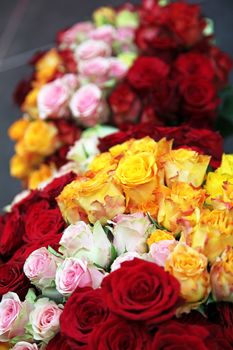 Two bouquets of roses with red, yellow, pink roses