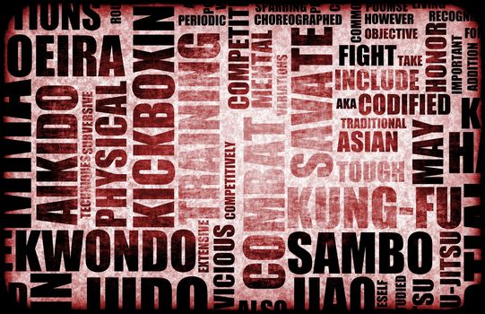 Sambo Martial Arts as a Fighting Style