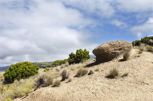 Wild landscape in Faial island, Azores, Portugal