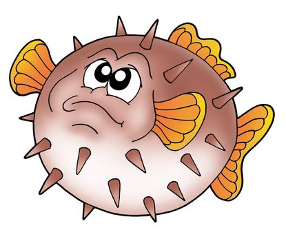 Brown balloon fish - color illustration.