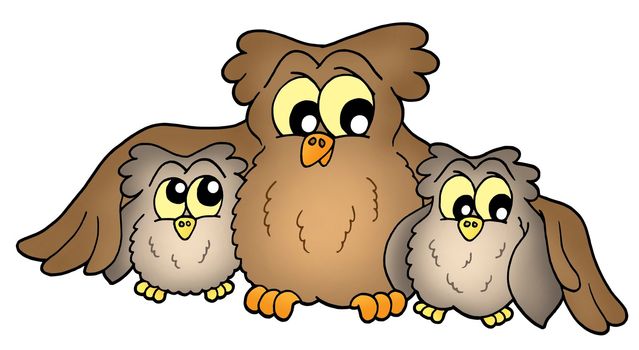 Three cute brown owls - color illustration.