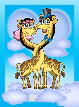 Color illustration of two giraffes. Like bride and groom.