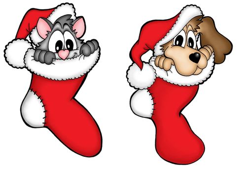 Christmas dog and cat - color illustration.