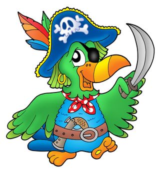 Pirate parrot on white background - color illustration.