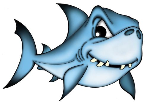 Shark on white background - color illustration