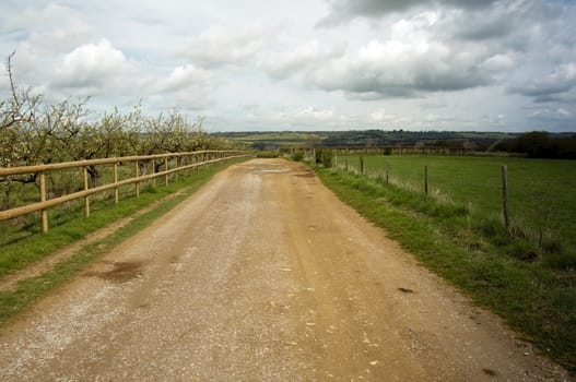 A road in the countryside with a wooden fence