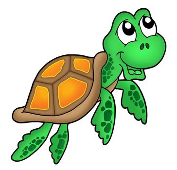 Smiling little sea turtle - color illustration.