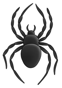 Spider on white background - illustration.
