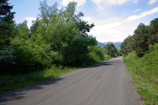 Empty mountain road with forest