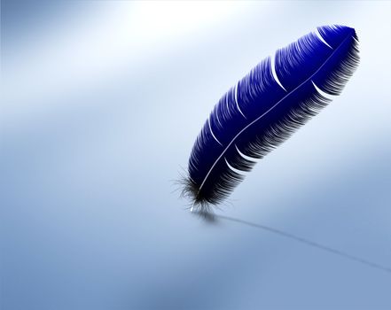 Blue feather with empty background