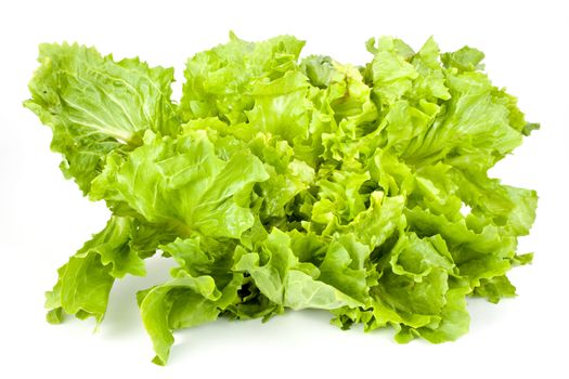 green lettuce isolated on a white background