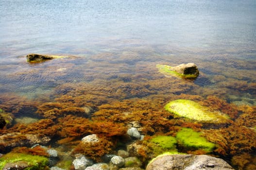 The sea bottom is visible through transparent water