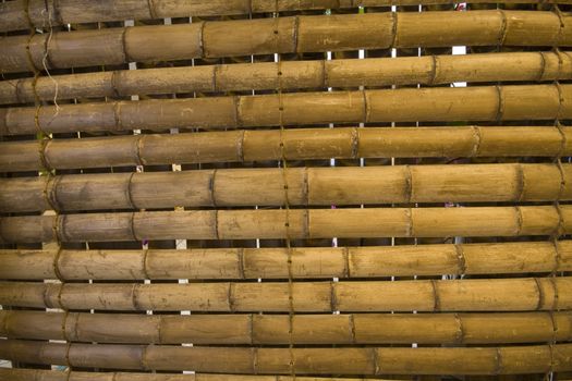It is a shot of japanese bamboo background
