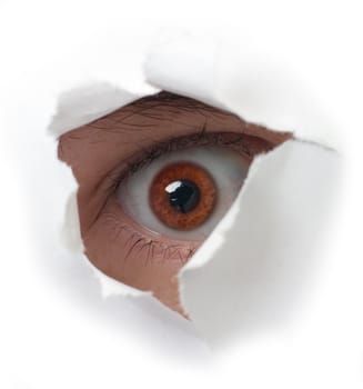 Eye peering out hole in sheet of paper on the white background