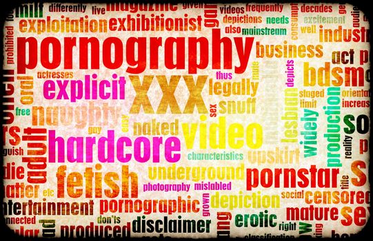 Adult Entertainment Sex Industry as Grunge Art