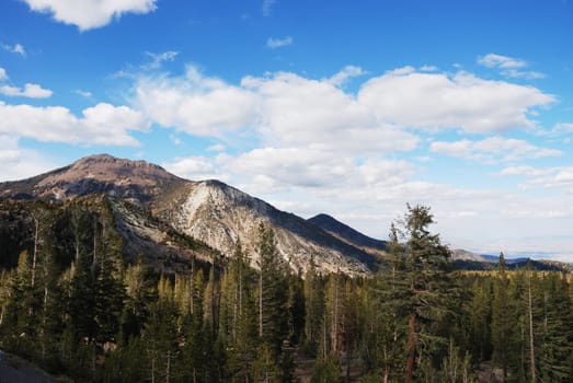 A view on Mt. Rose 