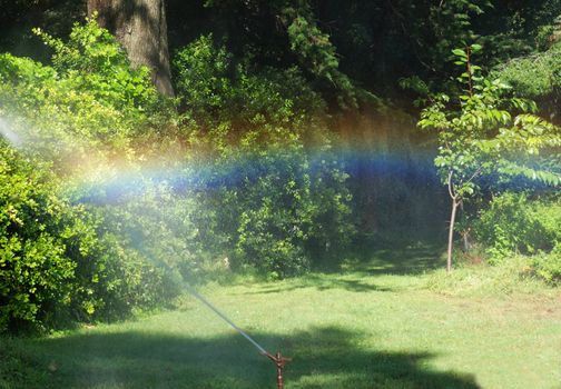 a sprinkler is making a rainbow while working