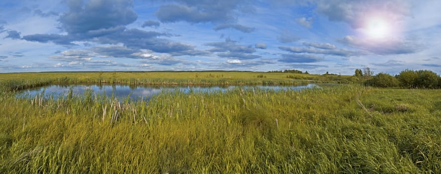 Panoramic shot of the small pond in the middle of the fields and meadows surrounded by swamp.