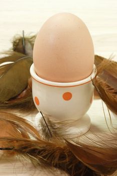 Browh hens egg in an eggcup with feathers