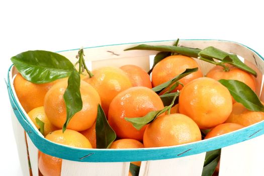 Close-up of tangerines in a fruit package
