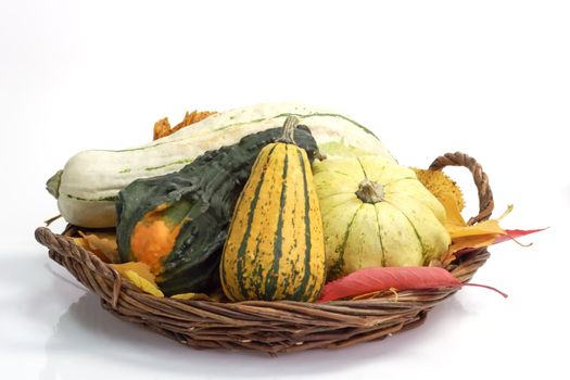 Colorful pumpkins and autumn foliage in a basket on bright background