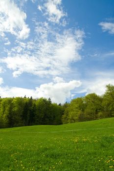 Meadow, forest and blue sky with clouds. Including copy space.