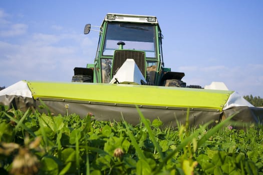 Tractor with mowing machine cutting grass. Front view.