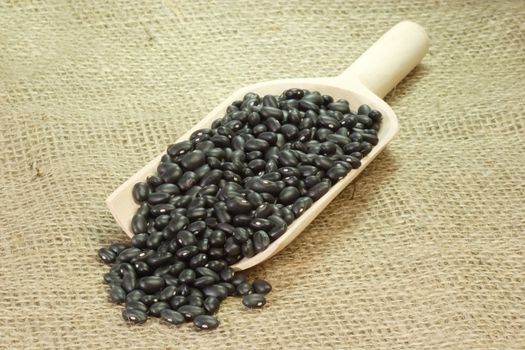 Black Beans on a wooden Shovel. Picture shot in studio