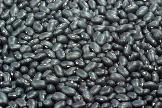 Close up from Black Beans as Background