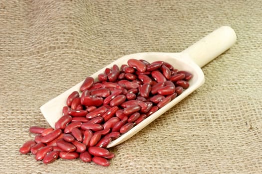 Red Kidney Beans on a wood Shovel 