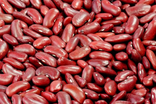 Close up from red Kidney Beans as Background