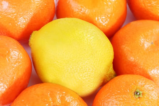 Orange and lemon in group