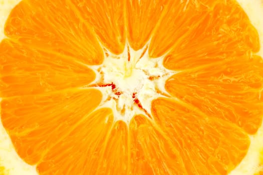 Close up of a orange Slice
