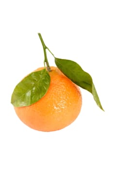 Tangerine with leaf, studio isolated over white background
