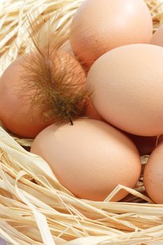 Many fresh brown eggs composition with feather
