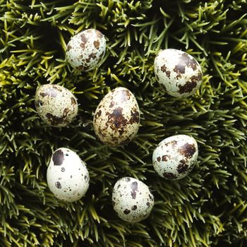 Speckled eggs on grass.