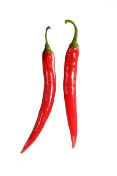 Two red chili peppers - isolated on white background