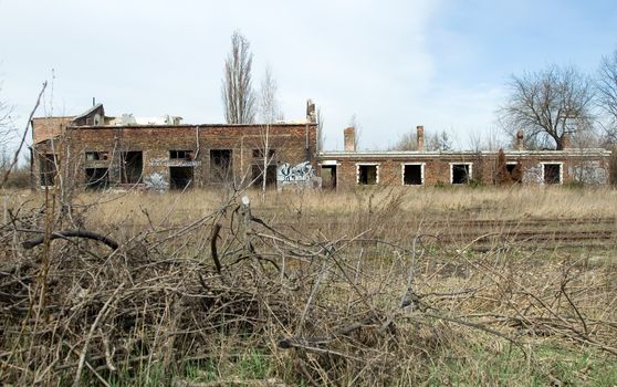 old buildings are standing in bushes