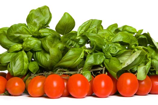 tomato and basil, separate on white