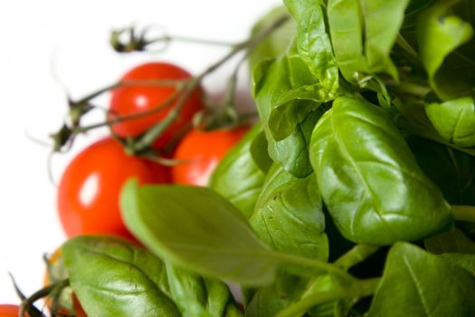 tomato and basil, separate on white