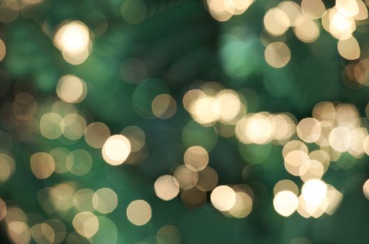 Defocused Christmas lights against green tree