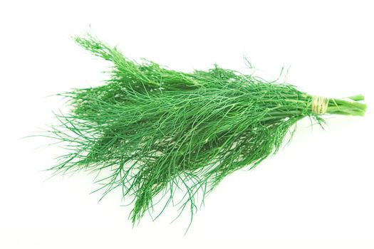 fresh herbal, green dill on white background
